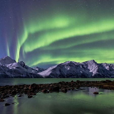 Apartmán Lyngenfjord,Odins Hus Olderdalen Exteriér fotografie