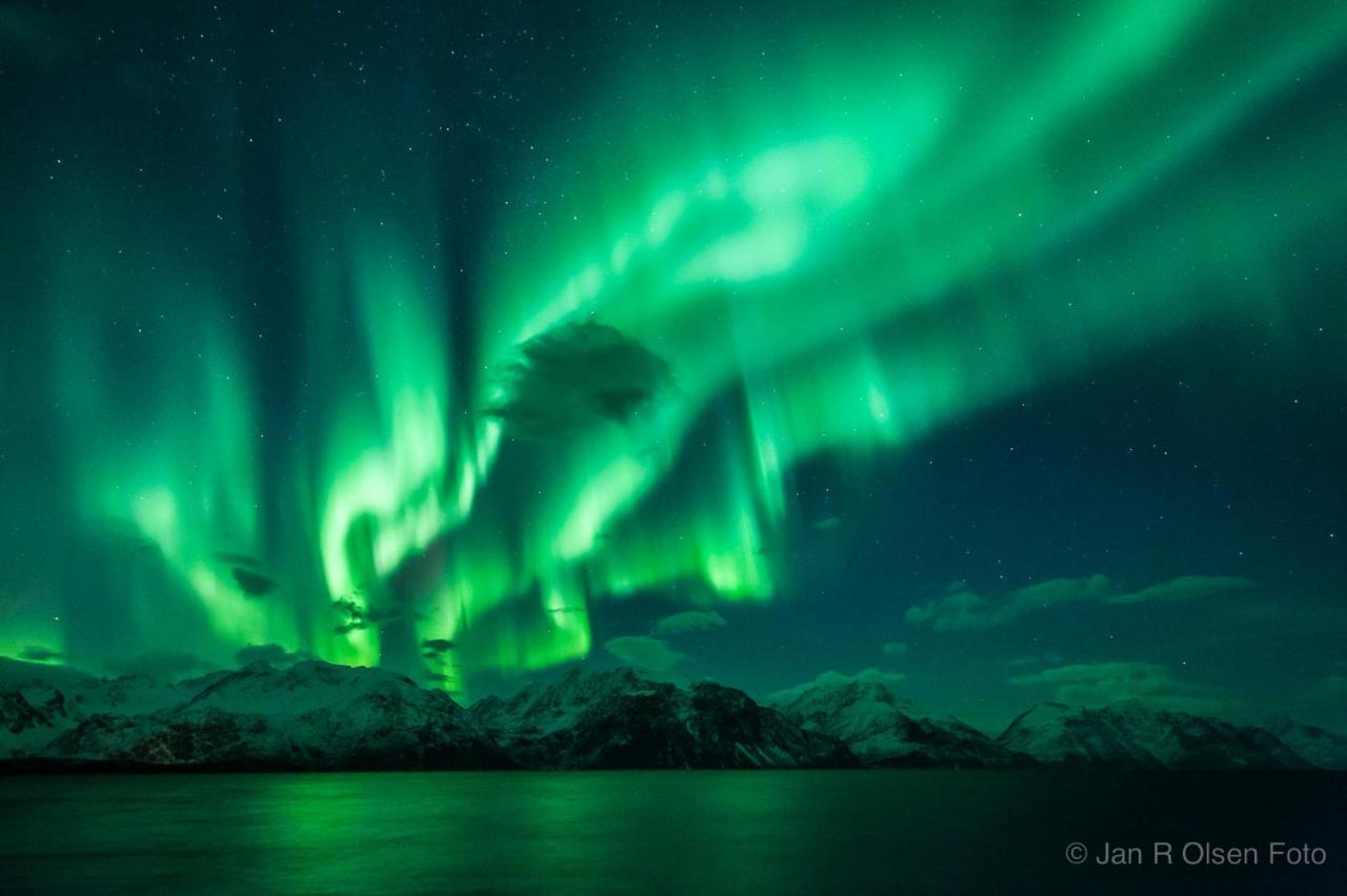 Apartmán Lyngenfjord,Odins Hus Olderdalen Exteriér fotografie