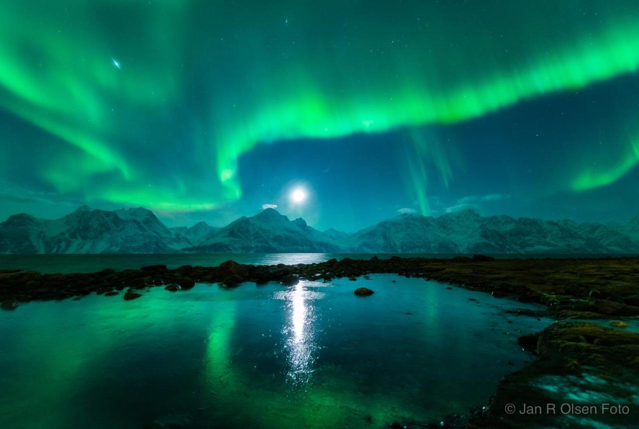 Apartmán Lyngenfjord,Odins Hus Olderdalen Exteriér fotografie