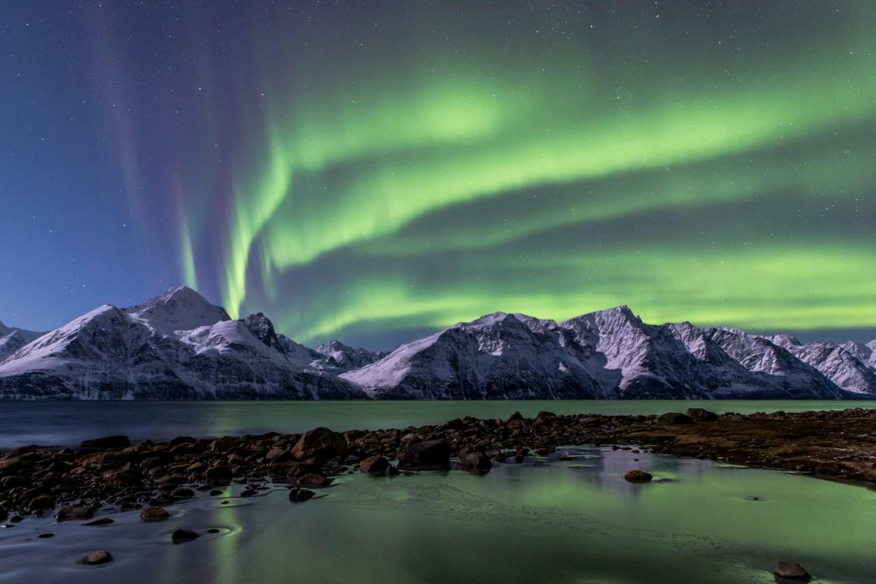 Apartmán Lyngenfjord,Odins Hus Olderdalen Exteriér fotografie