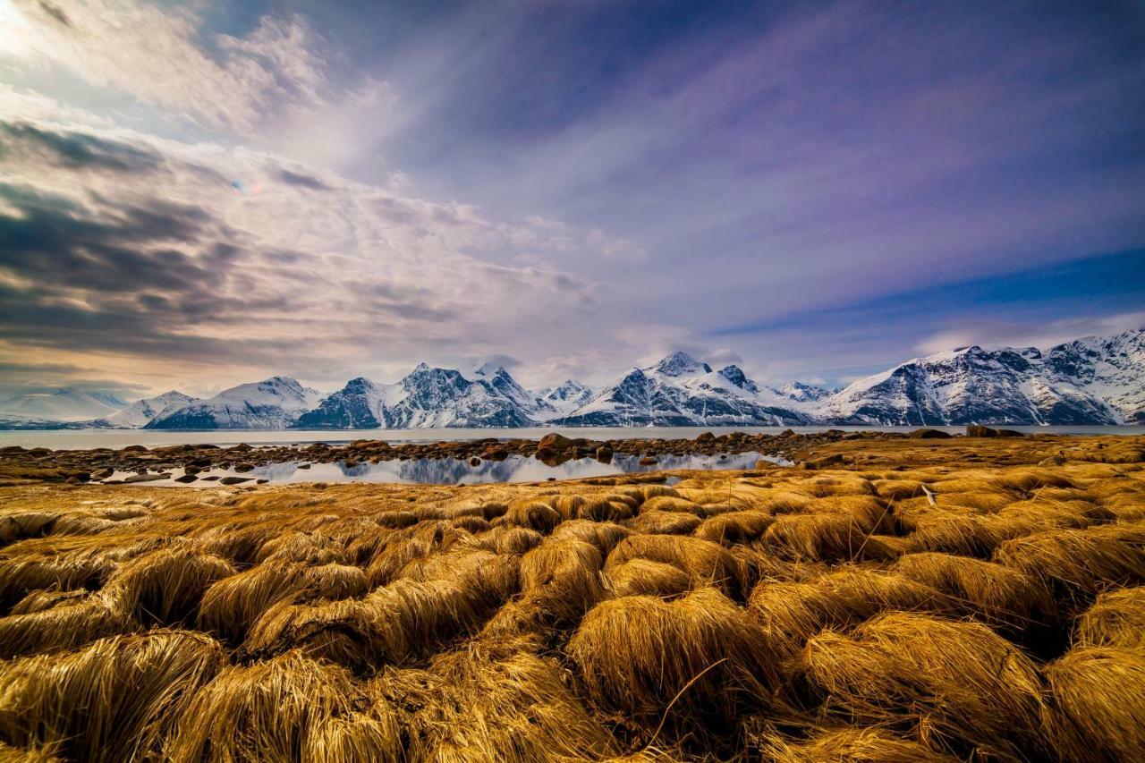 Apartmán Lyngenfjord,Odins Hus Olderdalen Exteriér fotografie