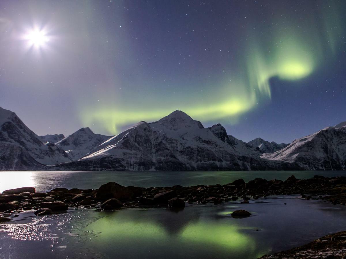Apartmán Lyngenfjord,Odins Hus Olderdalen Exteriér fotografie