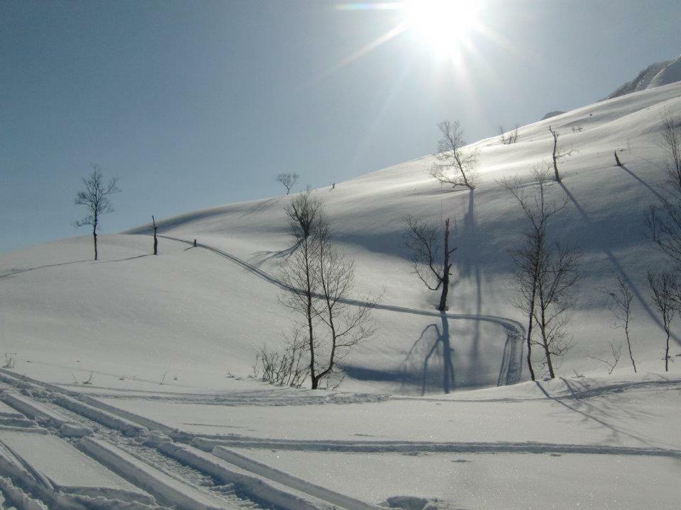 Apartmán Lyngenfjord,Odins Hus Olderdalen Exteriér fotografie