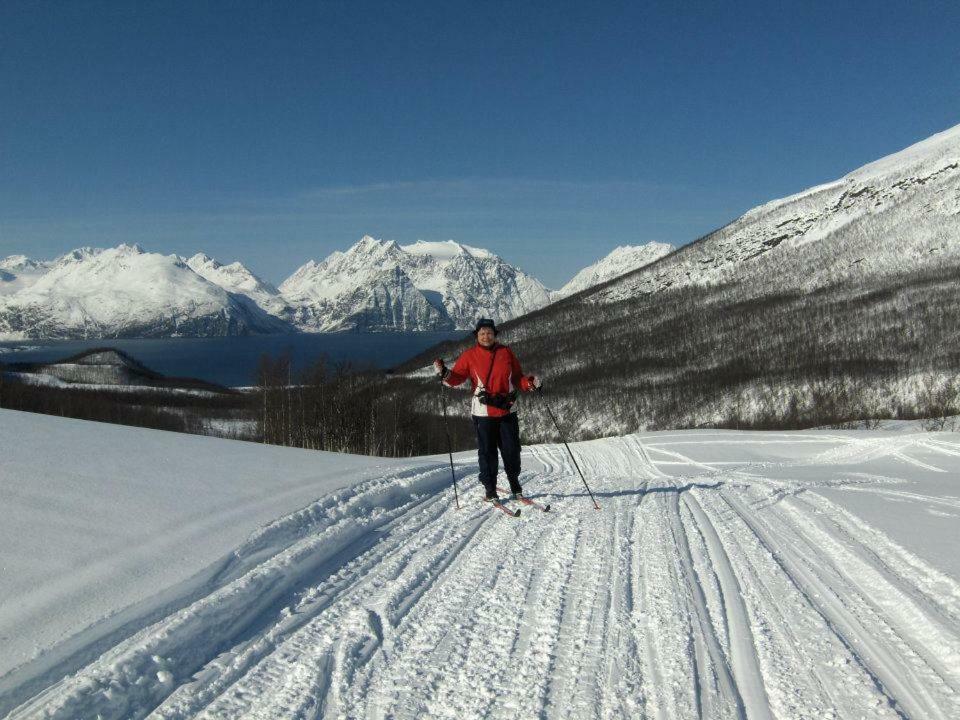 Apartmán Lyngenfjord,Odins Hus Olderdalen Exteriér fotografie